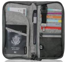 AmazonBasics Organizer Bag  (Holds credit cards, passport, currency)