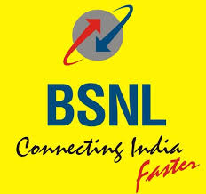 BSNL Fibernet Broadband Services (Telecom Services and Network Management)