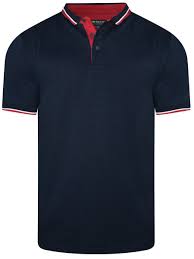 Peter England Striped Regular fit T-Shirt for Men (52% Polyester and 48% Cotton, Half sleeve, Machine Wash)