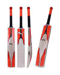 Puma EvoSpeed KW 2 SNR Cricket Bat  (Biege & Red, Size Senior L- 86cm W- 11cm, Unique shape for superb pick-up, Light weight, Round handle of top quality cane, Well balanced blade )