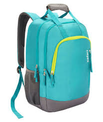 Safari Rover 22 cms Laptop Casual Backpack  (32 liters Capacity, Polyester Material, 3 Compartments, Multi-level Organiser with mesh, Full panel air mesh left and right side pockets with elastic binding)