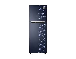 Samsung 253 Liters Frost-Free Double Door Refrigerator RT28T31429U/HL (2 Star, Base stand with drawer, Toughened Glass Shelves, Stabilizer Free Operation (100v - 300v))
